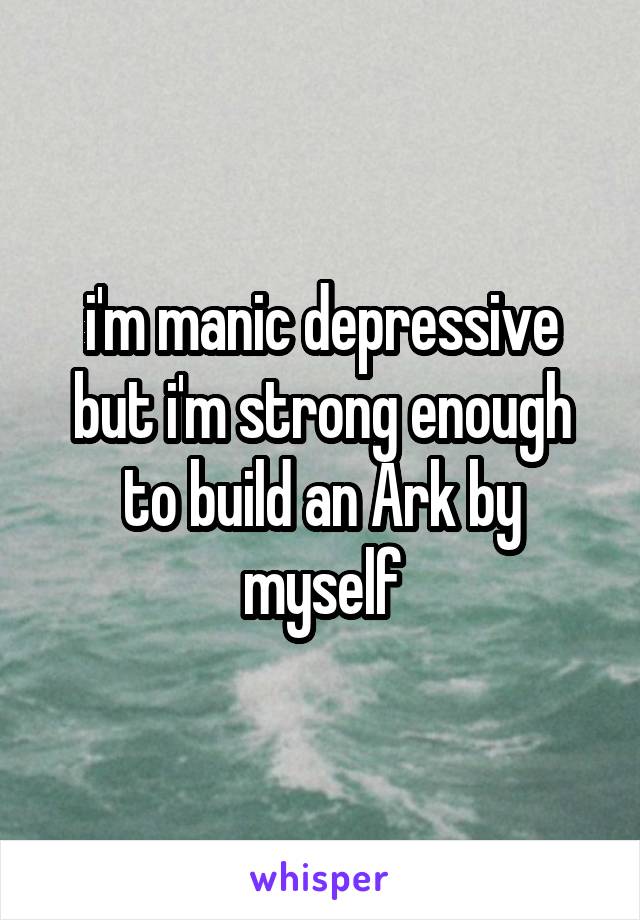 i'm manic depressive but i'm strong enough to build an Ark by myself