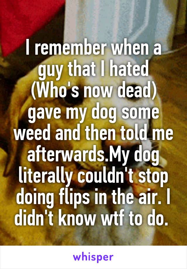 I remember when a guy that I hated (Who's now dead) gave my dog some weed and then told me afterwards.My dog literally couldn't stop doing flips in the air. I didn't know wtf to do. 