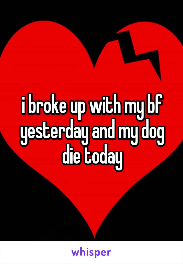 i broke up with my bf yesterday and my dog die today