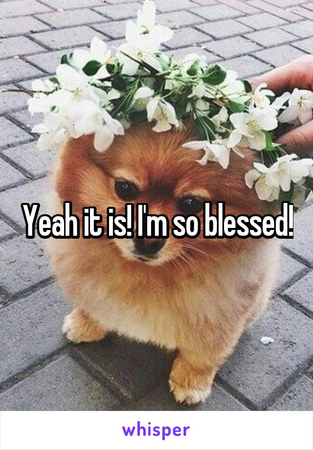 Yeah it is! I'm so blessed!