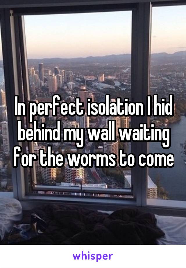 In perfect isolation I hid behind my wall waiting for the worms to come