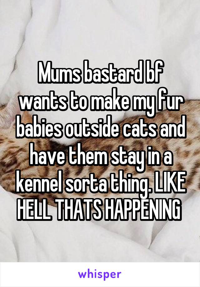 Mums bastard bf wants to make my fur babies outside cats and have them stay in a kennel sorta thing. LIKE HELL THATS HAPPENING 