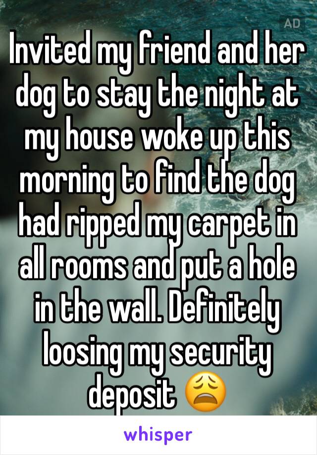 Invited my friend and her dog to stay the night at my house woke up this morning to find the dog had ripped my carpet in all rooms and put a hole in the wall. Definitely loosing my security deposit 😩