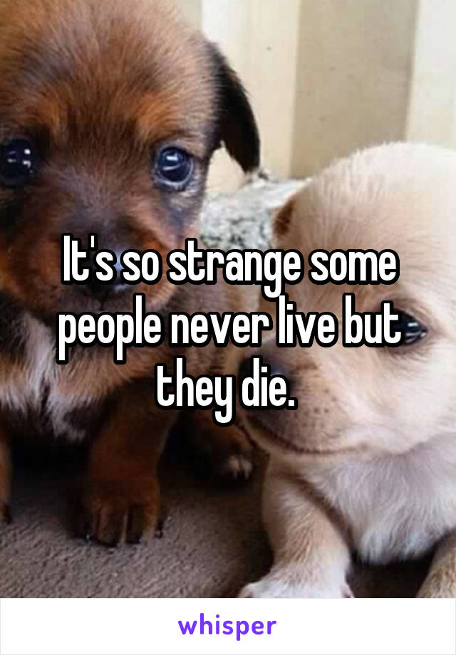 It's so strange some people never live but they die. 