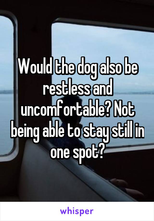 Would the dog also be restless and uncomfortable? Not being able to stay still in one spot?