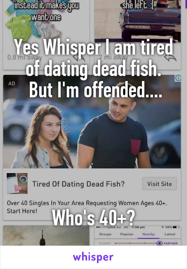 Yes Whisper I am tired of dating dead fish.
 But I'm offended....





Who's 40+?