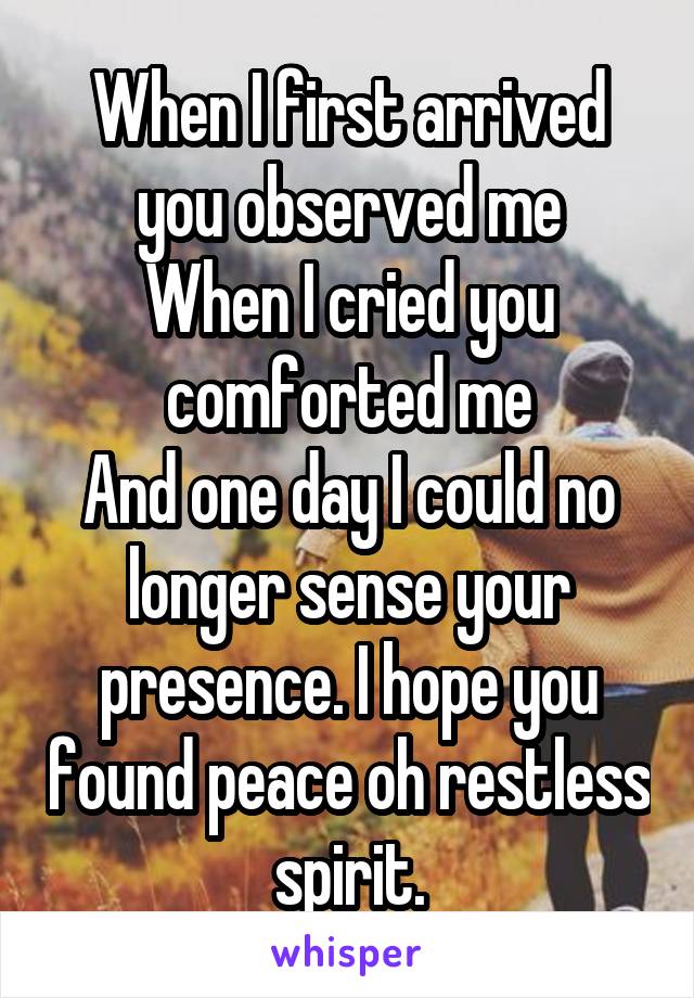 When I first arrived you observed me
When I cried you comforted me
And one day I could no longer sense your presence. I hope you found peace oh restless spirit.