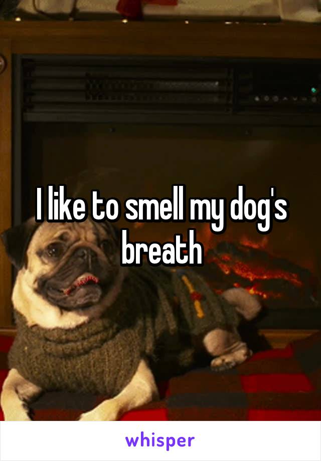 I like to smell my dog's breath