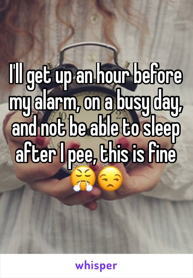 I'll get up an hour before my alarm, on a busy day, and not be able to sleep after I pee, this is fine 😤😒