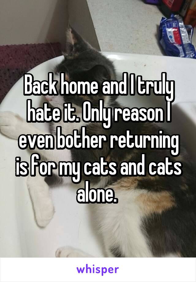 Back home and I truly hate it. Only reason I even bother returning is for my cats and cats alone. 