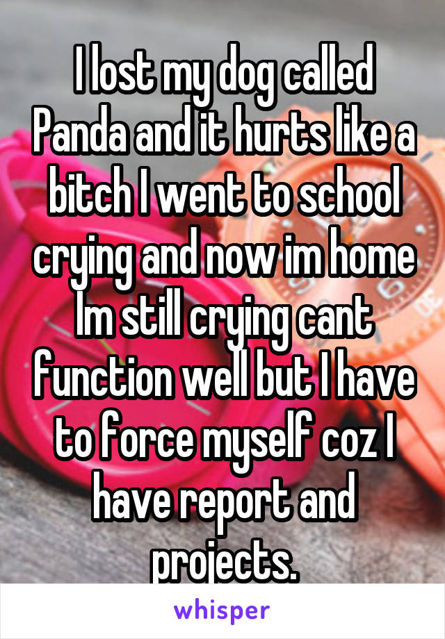 I lost my dog called Panda and it hurts like a bitch I went to school crying and now im home Im still crying cant function well but I have to force myself coz I have report and projects.