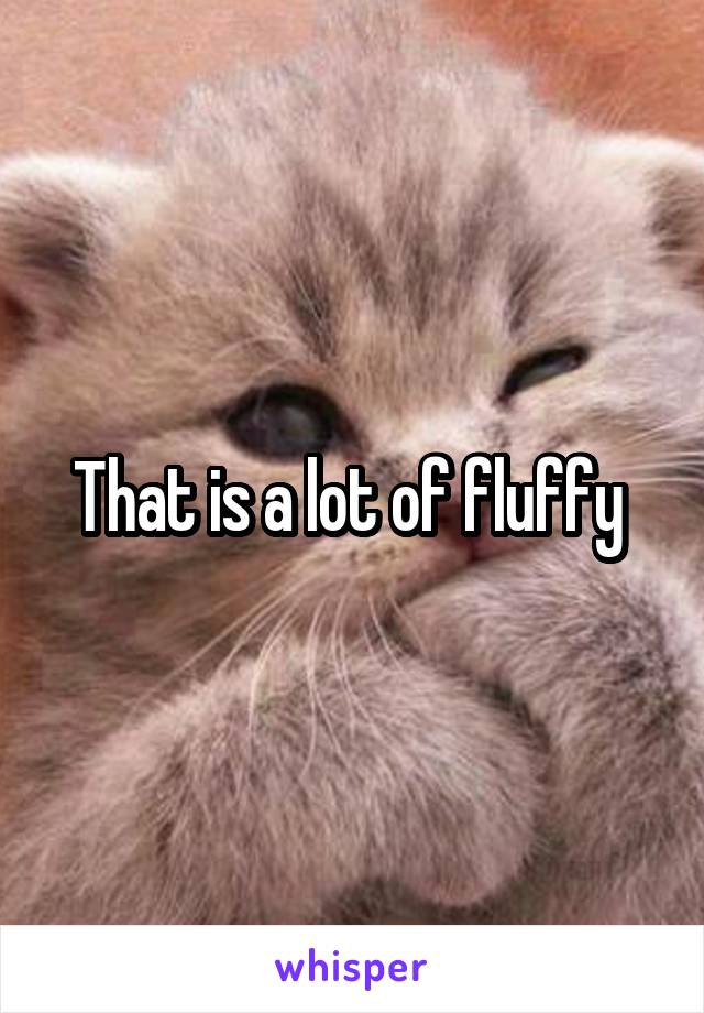 That is a lot of fluffy 