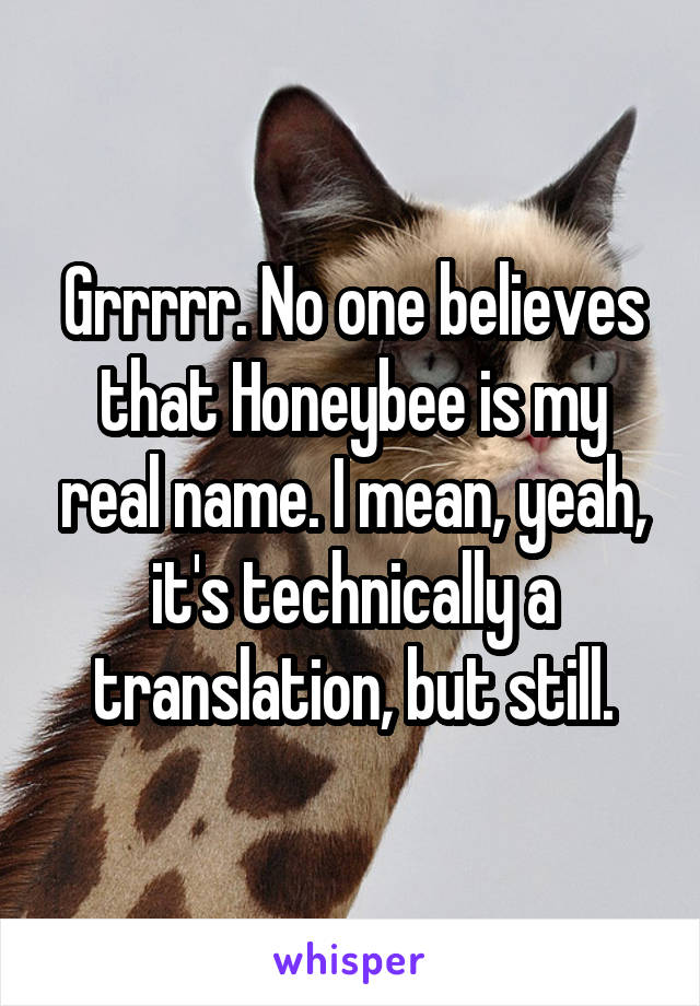 Grrrrr. No one believes that Honeybee is my real name. I mean, yeah, it's technically a translation, but still.