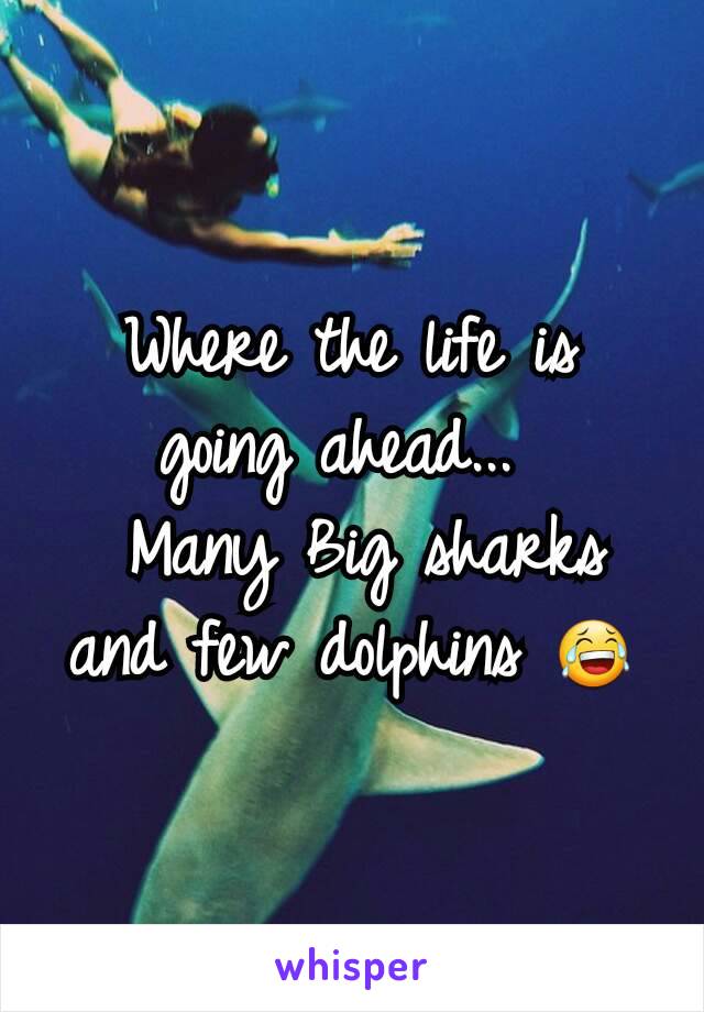 Where the life is  going ahead... 
 Many Big sharks and few dolphins 😂