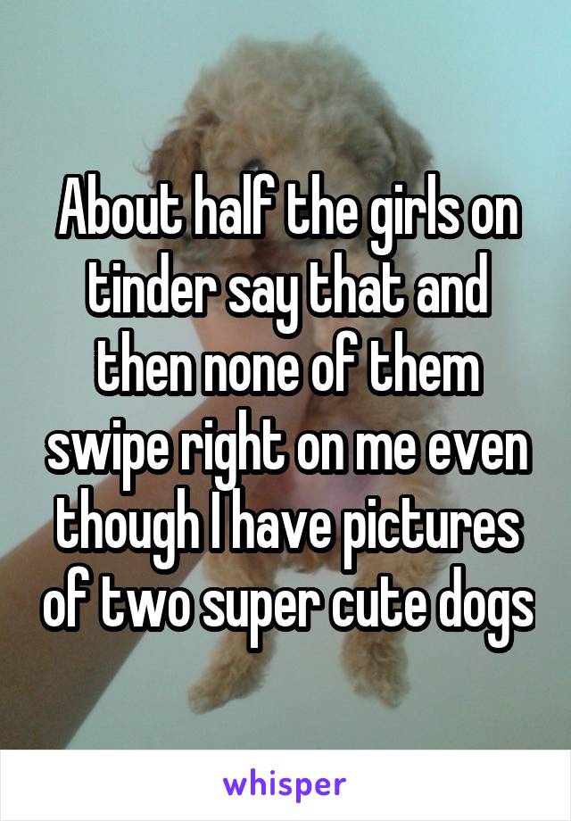 About half the girls on tinder say that and then none of them swipe right on me even though I have pictures of two super cute dogs