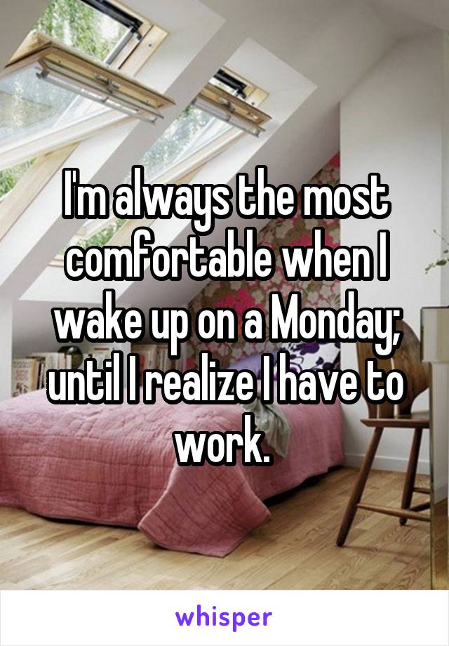 I'm always the most comfortable when I wake up on a Monday; until I realize I have to work. 