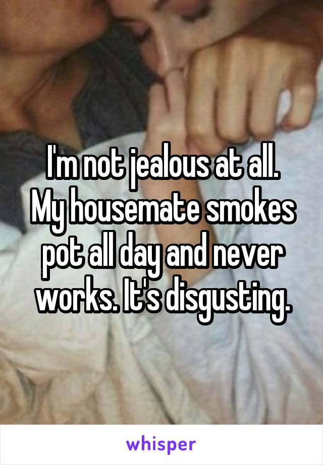 I'm not jealous at all.
My housemate smokes pot all day and never works. It's disgusting.