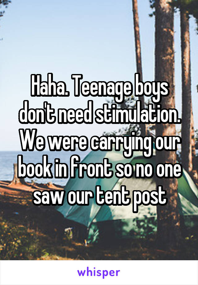 Haha. Teenage boys don't need stimulation. We were carrying our book in front so no one saw our tent post