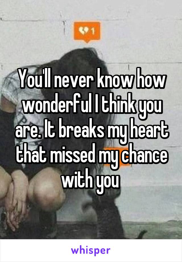 You'll never know how wonderful I think you are. It breaks my heart that missed my chance with you 