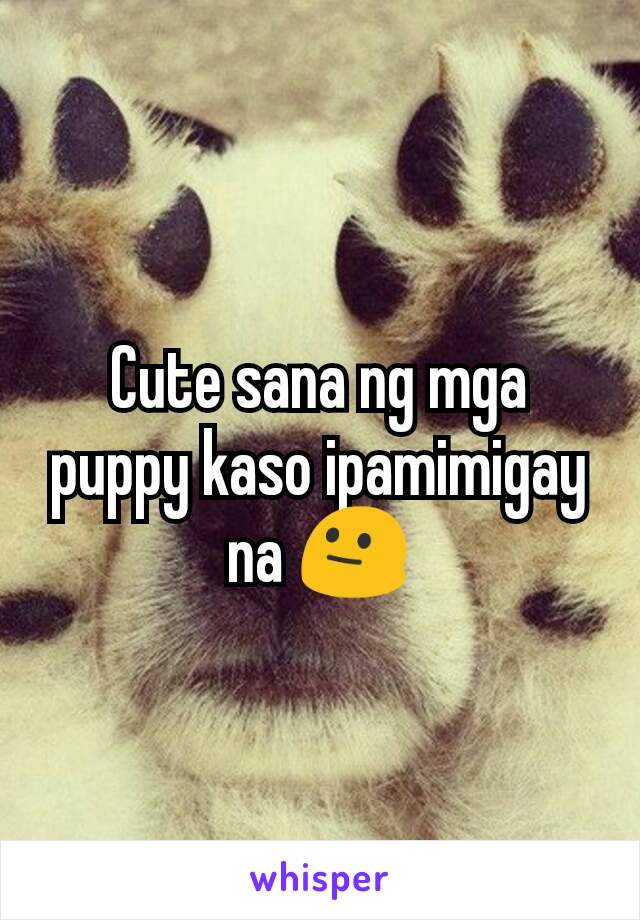 Cute sana ng mga puppy kaso ipamimigay na 😐