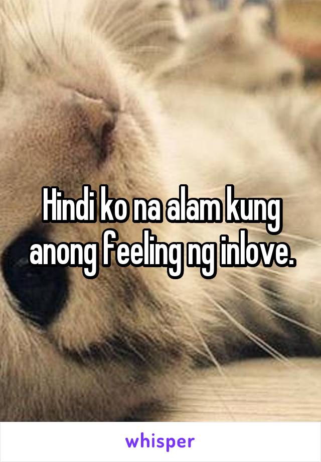 Hindi ko na alam kung anong feeling ng inlove.