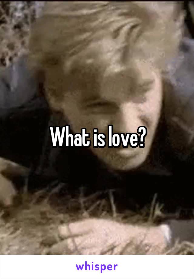 What is love?