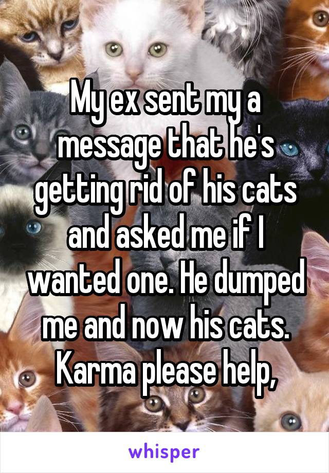 My ex sent my a message that he's getting rid of his cats and asked me if I wanted one. He dumped me and now his cats. Karma please help,