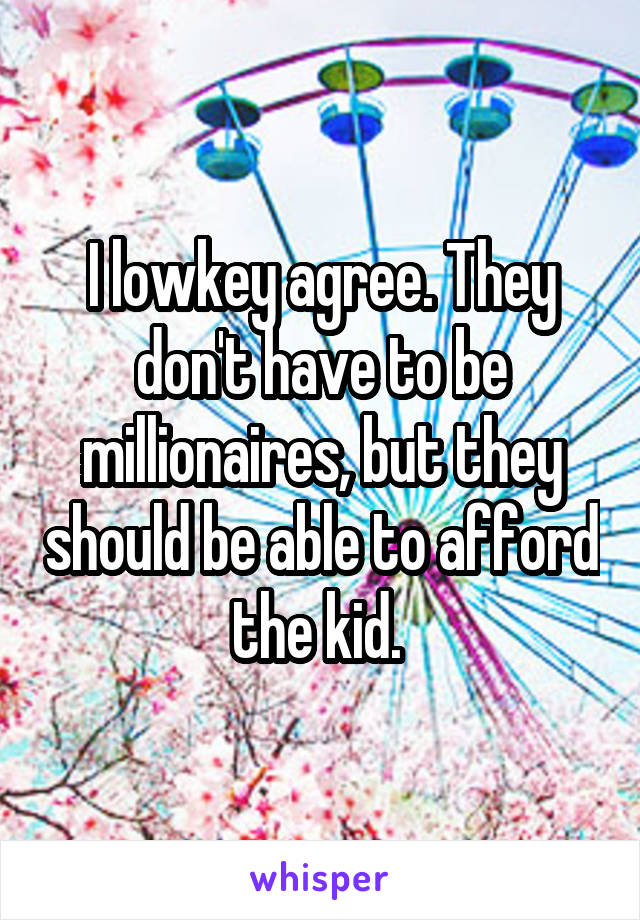 I lowkey agree. They don't have to be millionaires, but they should be able to afford the kid. 