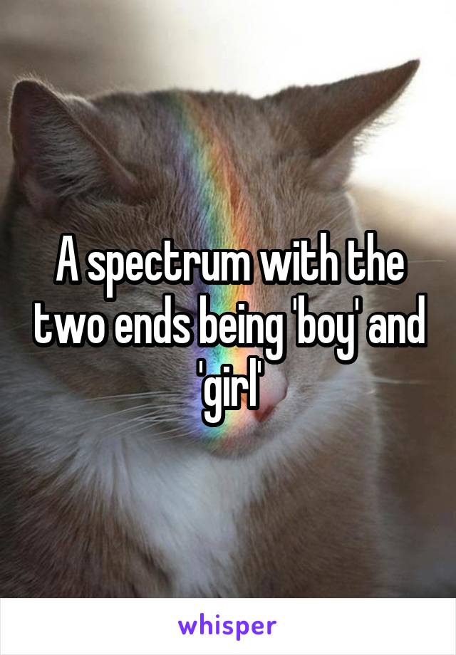 A spectrum with the two ends being 'boy' and 'girl'