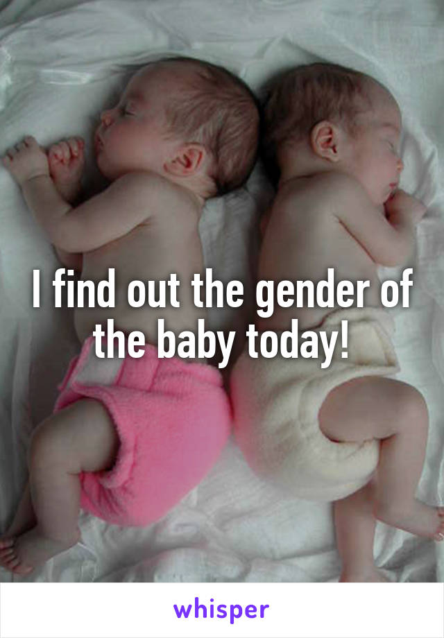 I find out the gender of the baby today!