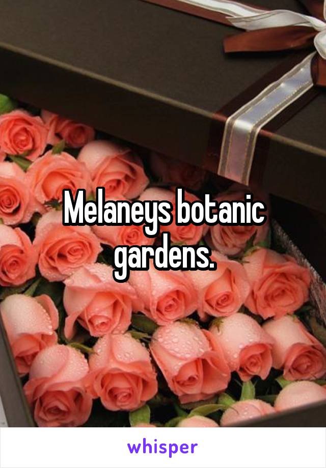 Melaneys botanic gardens.