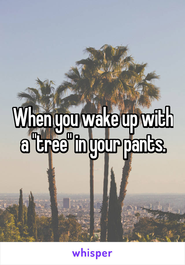 When you wake up with a "tree" in your pants.