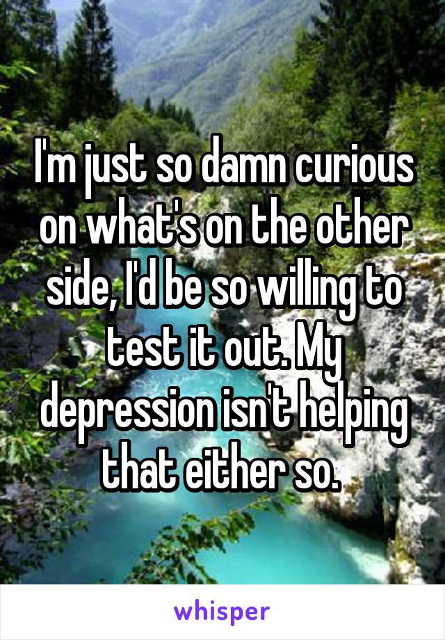 I'm just so damn curious on what's on the other side, I'd be so willing to test it out. My depression isn't helping that either so. 