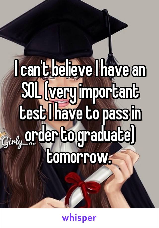 I can't believe I have an SOL (very important test I have to pass in order to graduate) tomorrow. 