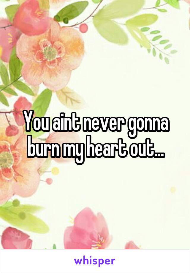 You aint never gonna burn my heart out...