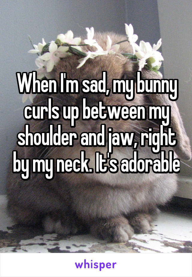 When I'm sad, my bunny curls up between my shoulder and jaw, right by my neck. It's adorable 