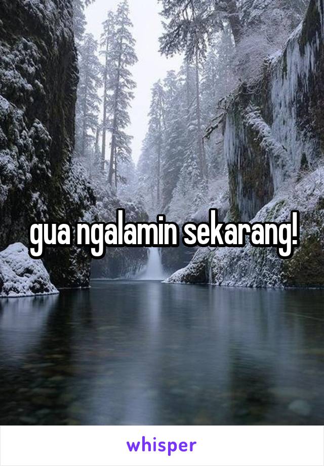 gua ngalamin sekarang!