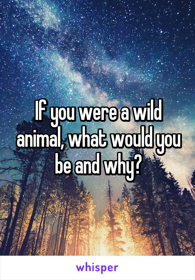 If you were a wild animal, what would you be and why?