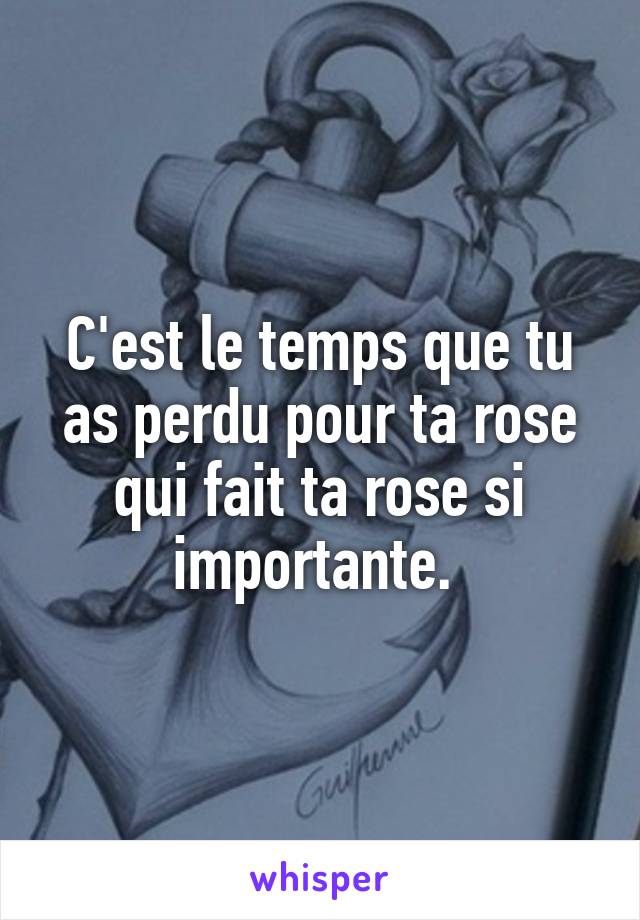 C'est le temps que tu as perdu pour ta rose qui fait ta rose si importante. 