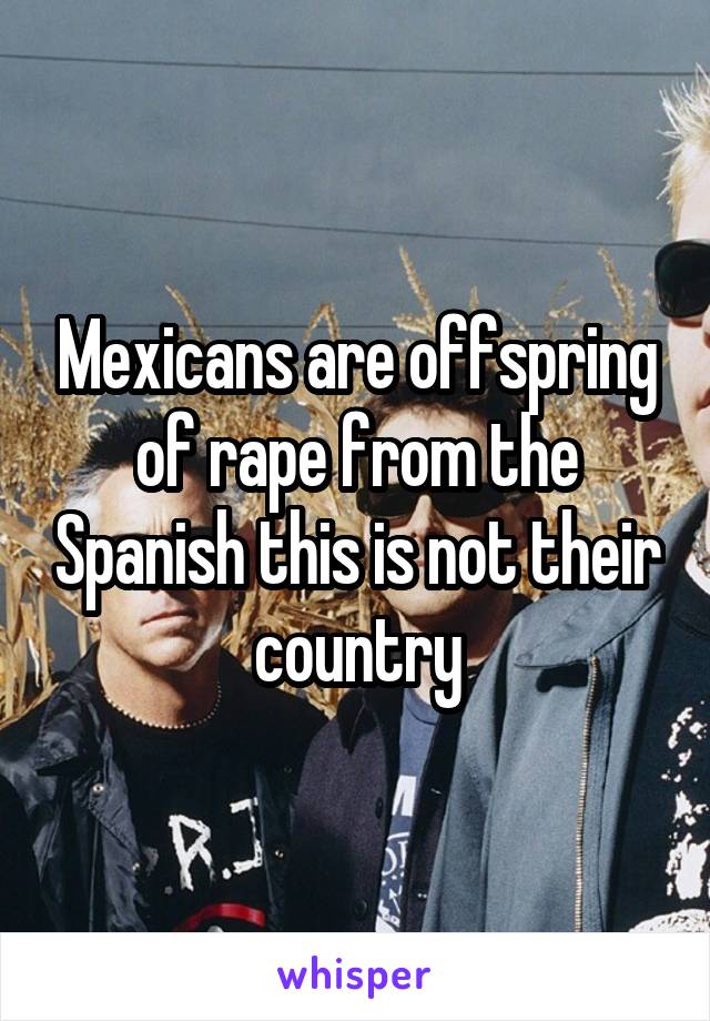 Mexicans are offspring of rape from the Spanish this is not their country