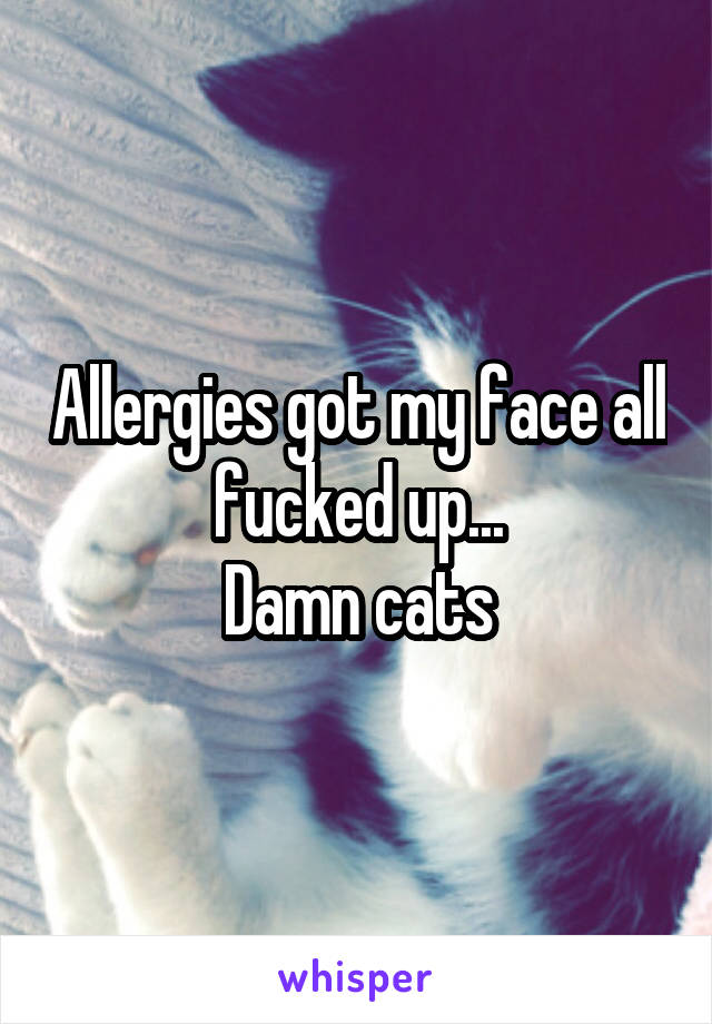 Allergies got my face all fucked up...
Damn cats