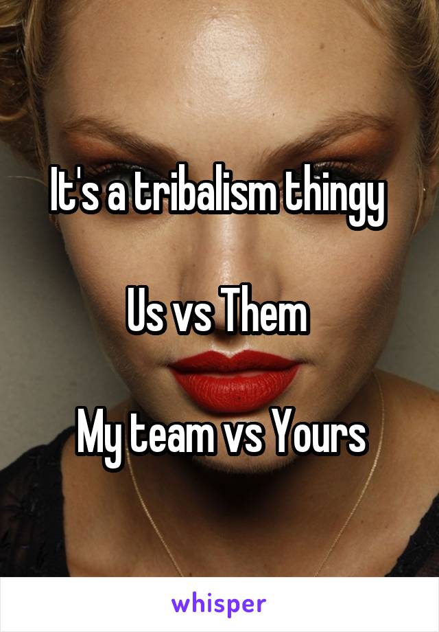 It's a tribalism thingy 

Us vs Them 

My team vs Yours