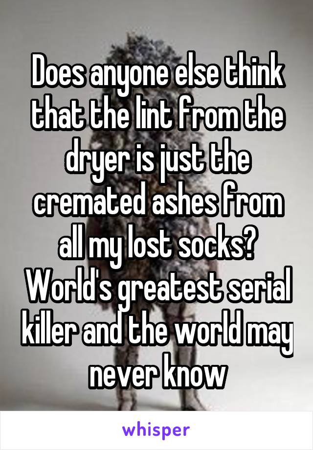 Does anyone else think that the lint from the dryer is just the cremated ashes from all my lost socks? World's greatest serial killer and the world may never know