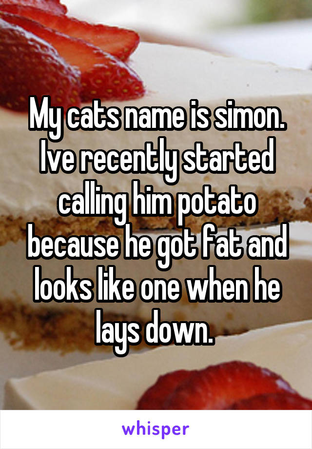 My cats name is simon. Ive recently started calling him potato because he got fat and looks like one when he lays down. 