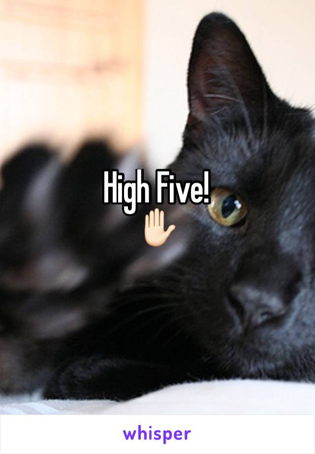 High Five! 
✋🏻