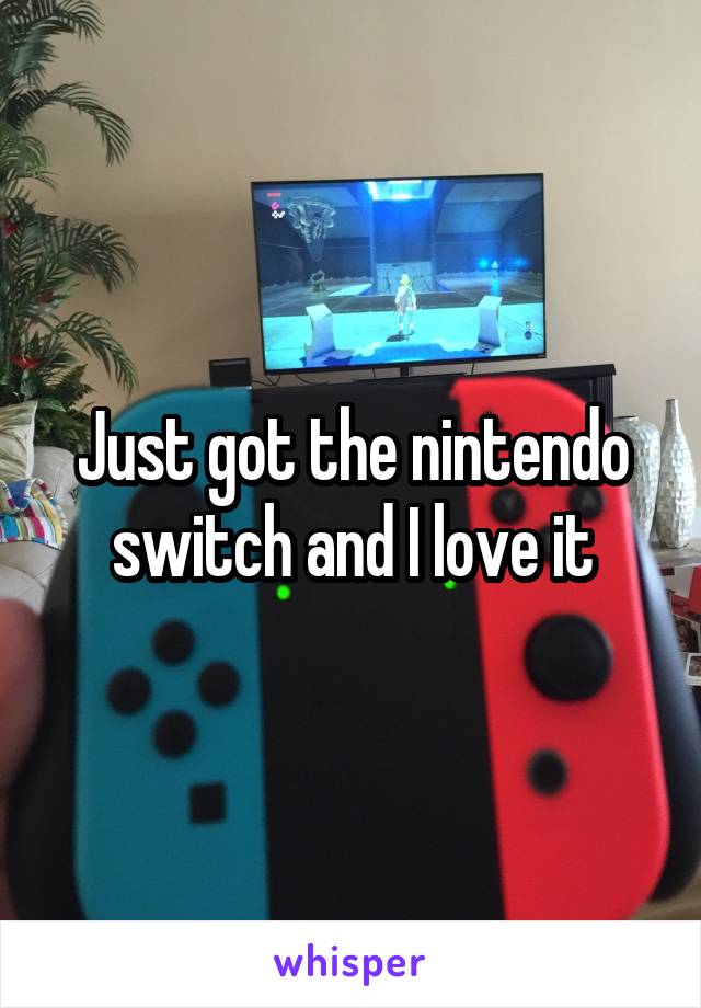 Just got the nintendo switch and I love it