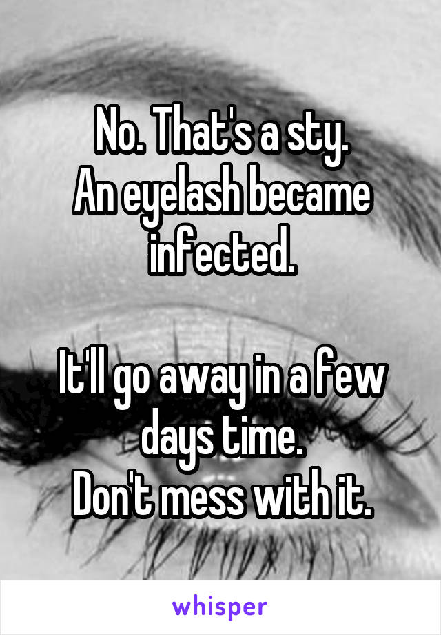 No. That's a sty.
An eyelash became infected.

It'll go away in a few days time.
Don't mess with it.