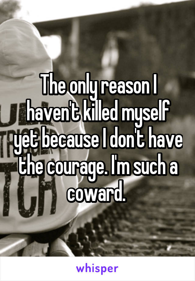 The only reason I haven't killed myself yet because I don't have the courage. I'm such a coward. 