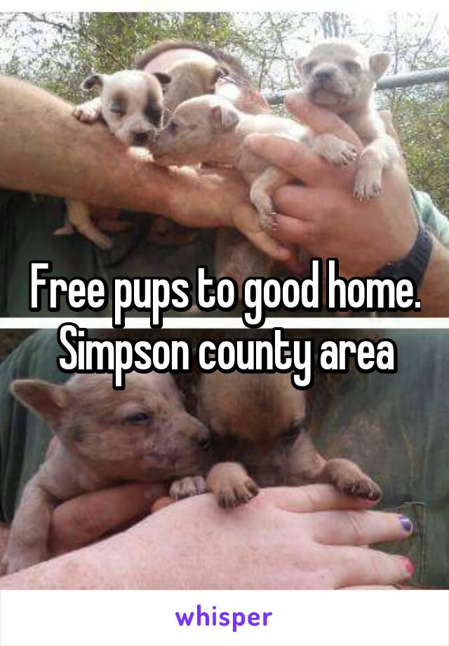 Free pups to good home. Simpson county area