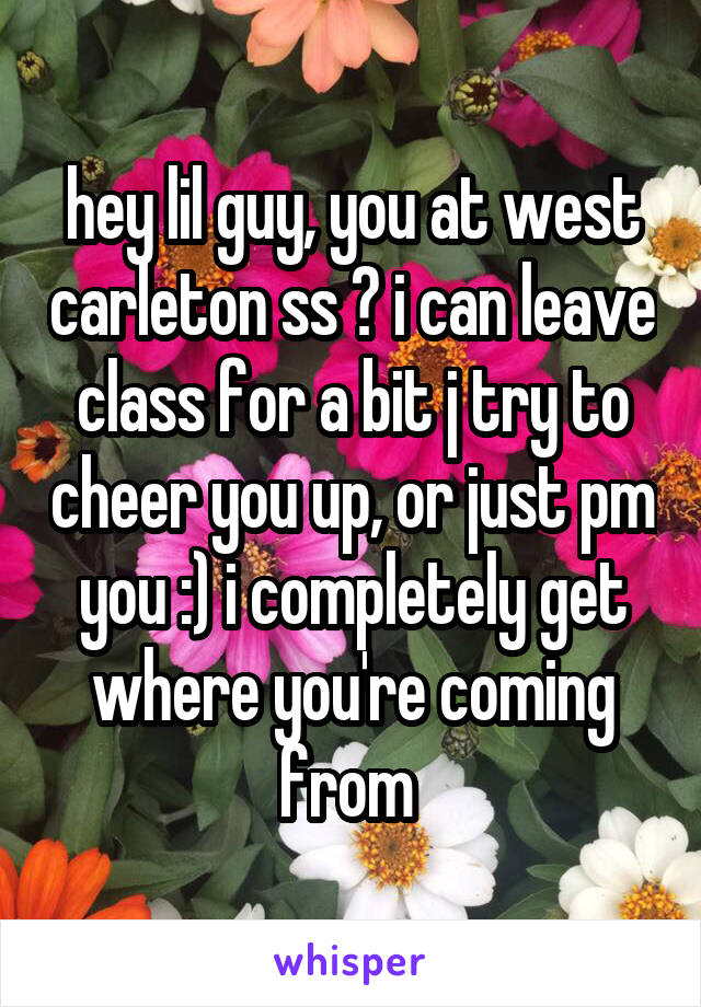 hey lil guy, you at west carleton ss ? i can leave class for a bit j try to cheer you up, or just pm you :) i completely get where you're coming from 